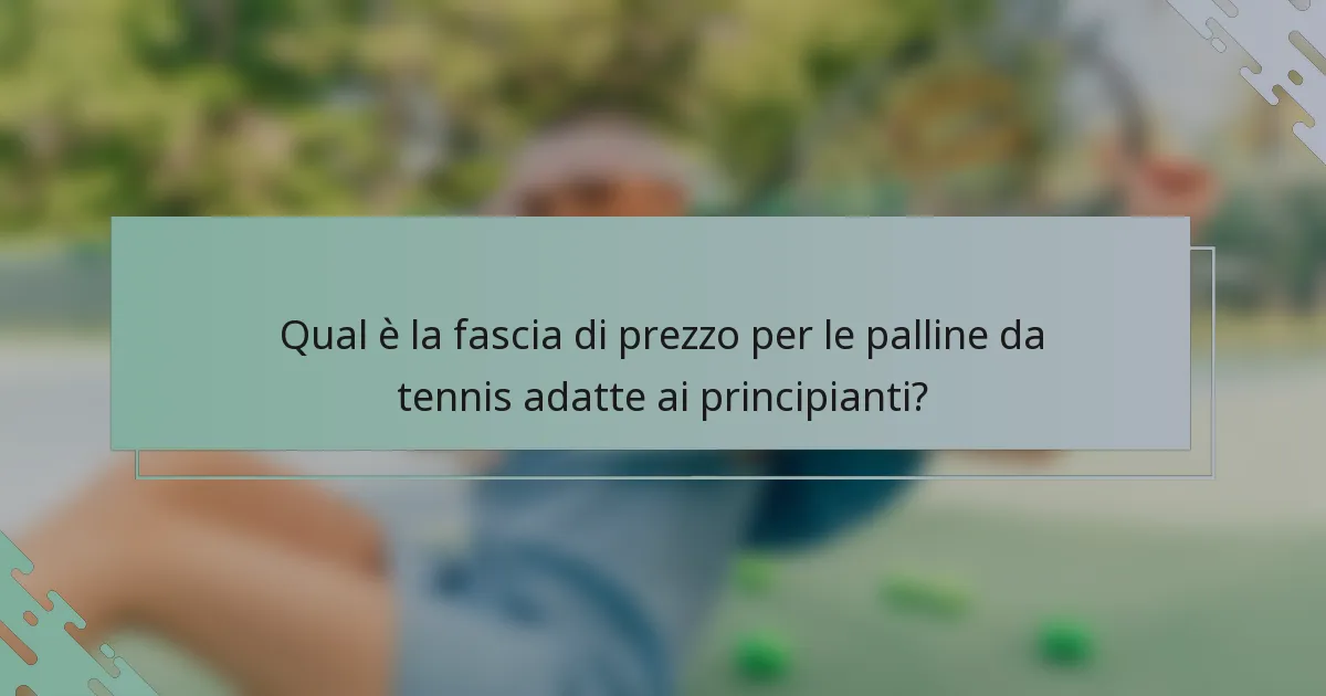 Qual è la fascia di prezzo per le palline da tennis adatte ai principianti?