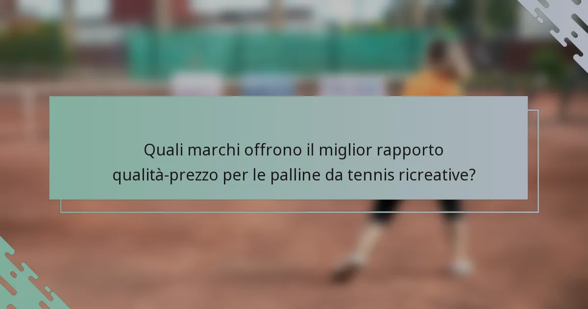 Quali marchi offrono il miglior rapporto qualità-prezzo per le palline da tennis ricreative?