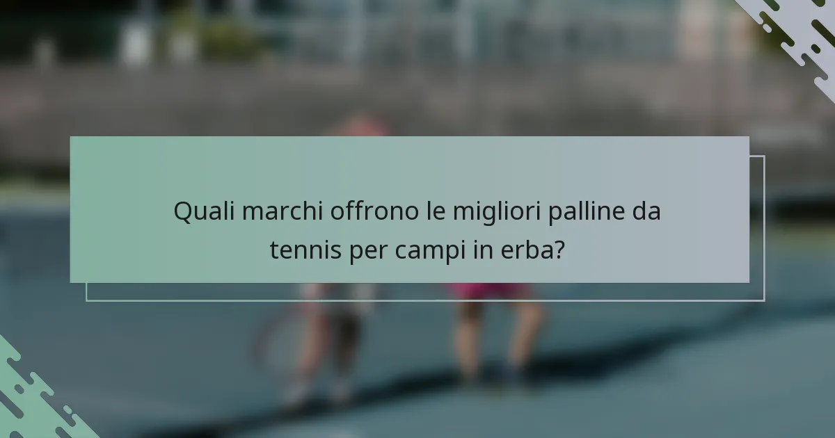 Quali marchi offrono le migliori palline da tennis per campi in erba?