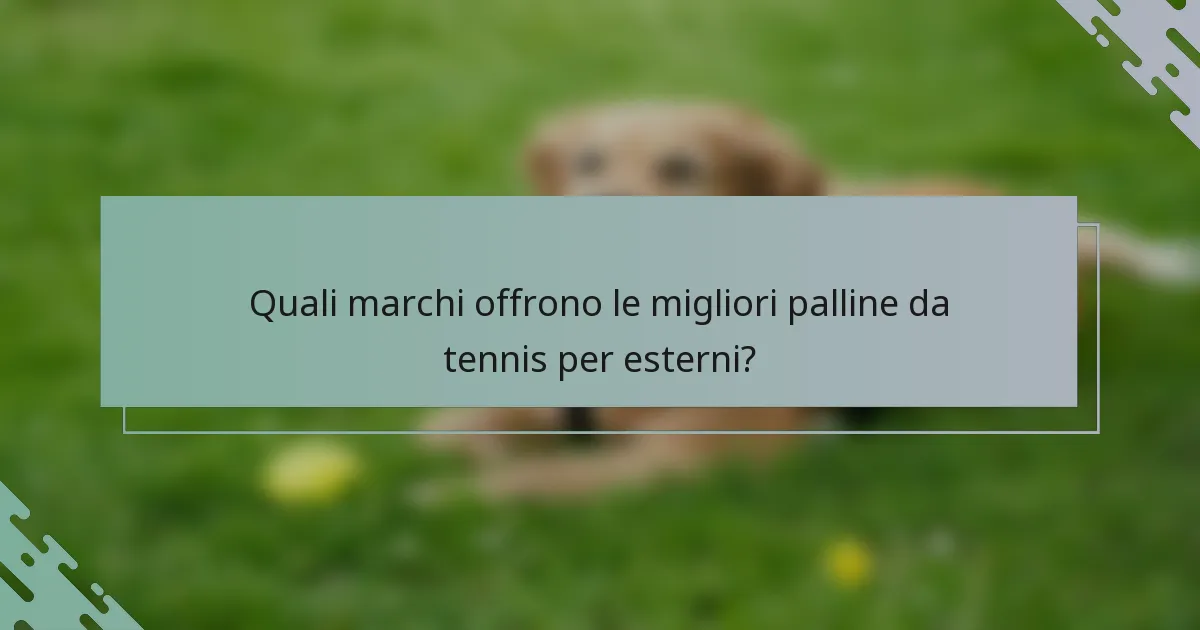 Quali marchi offrono le migliori palline da tennis per esterni?