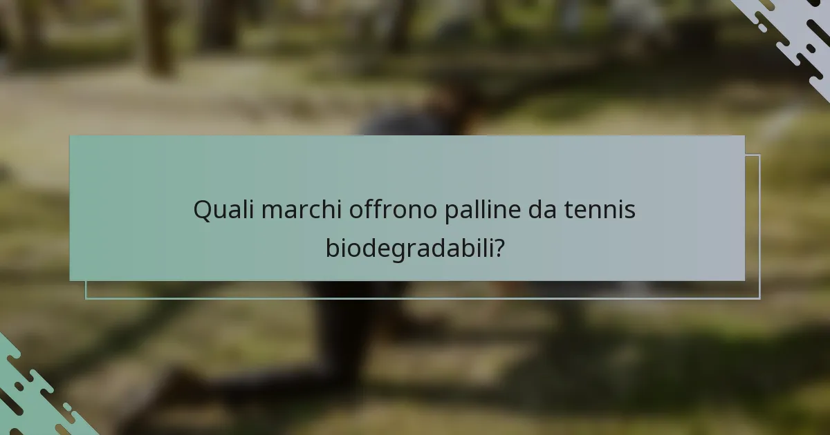 Quali marchi offrono palline da tennis biodegradabili?