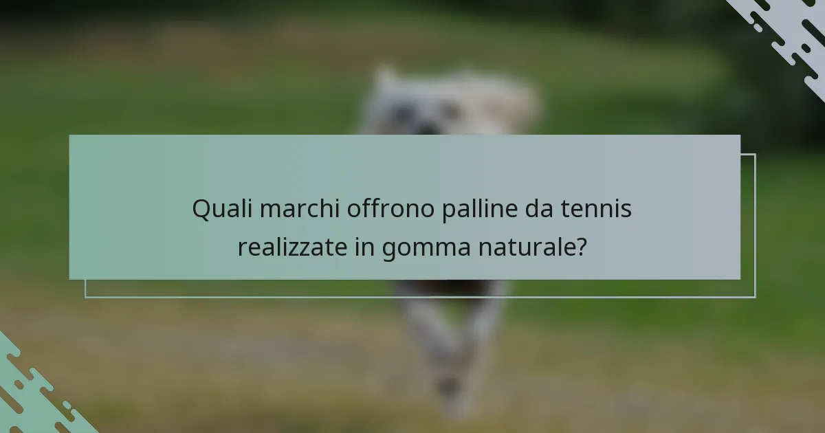 Quali marchi offrono palline da tennis realizzate in gomma naturale?
