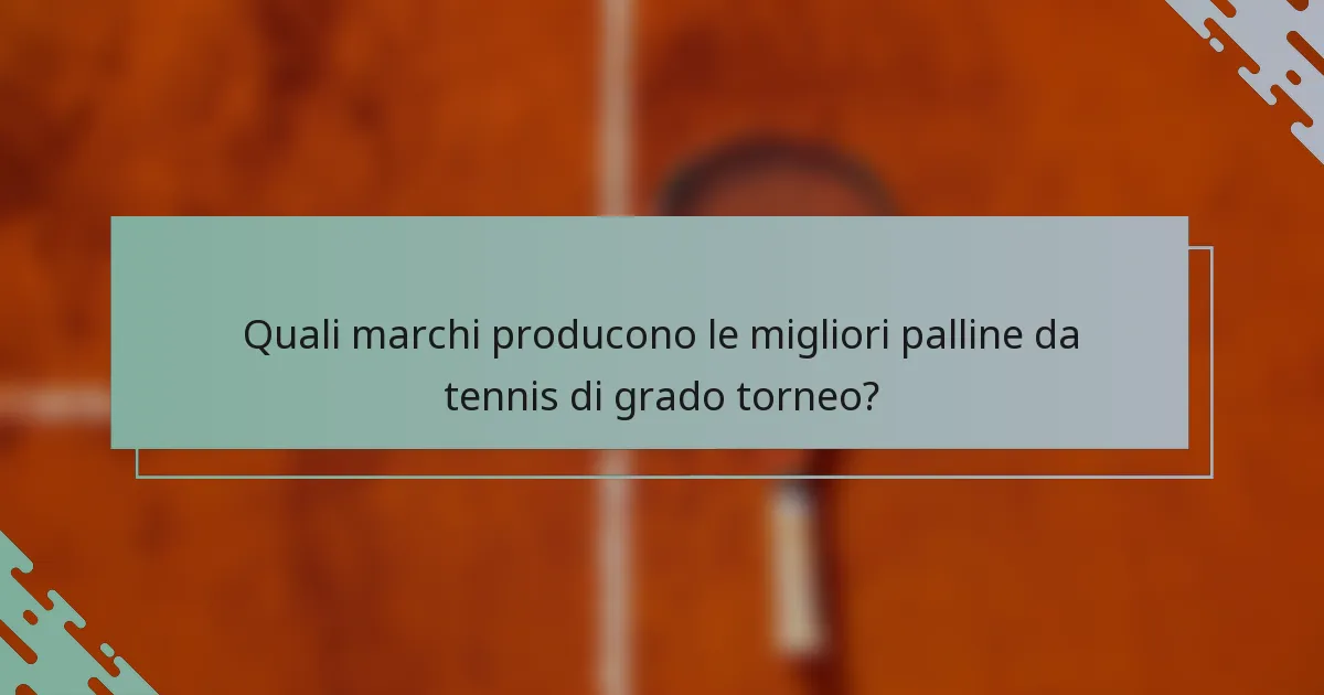 Quali marchi producono le migliori palline da tennis di grado torneo?