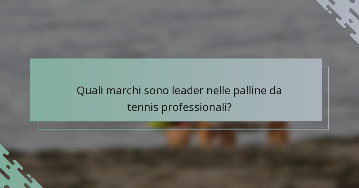 Quali marchi sono leader nelle palline da tennis professionali?