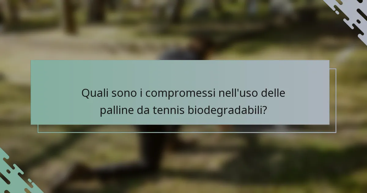Quali sono i compromessi nell'uso delle palline da tennis biodegradabili?