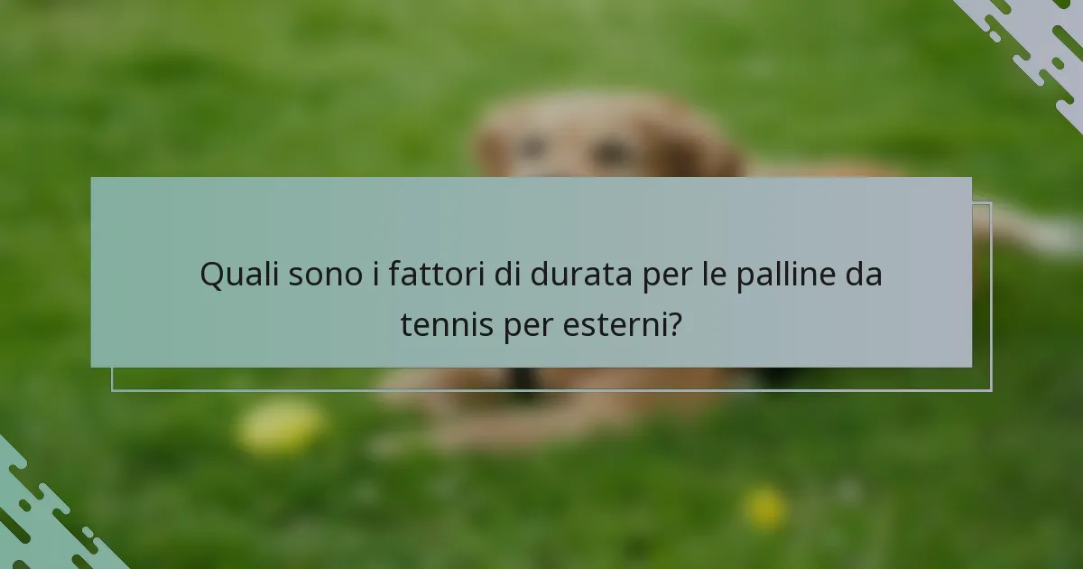 Quali sono i fattori di durata per le palline da tennis per esterni?