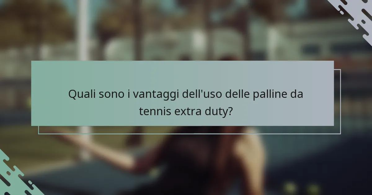 Quali sono i vantaggi dell'uso delle palline da tennis extra duty?