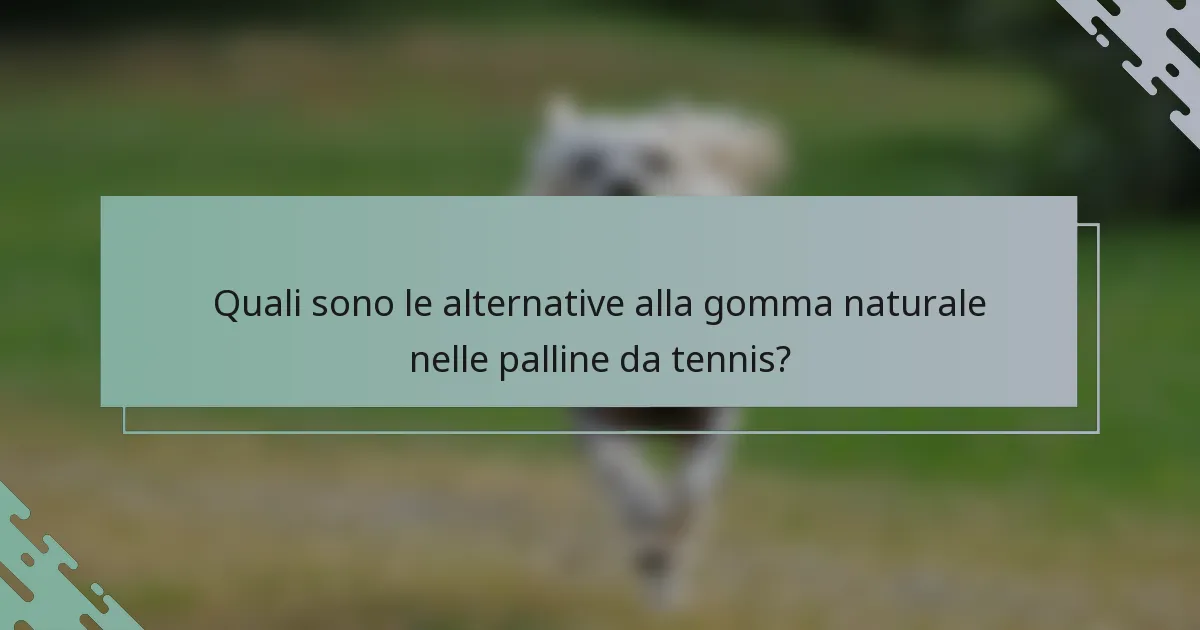 Quali sono le alternative alla gomma naturale nelle palline da tennis?