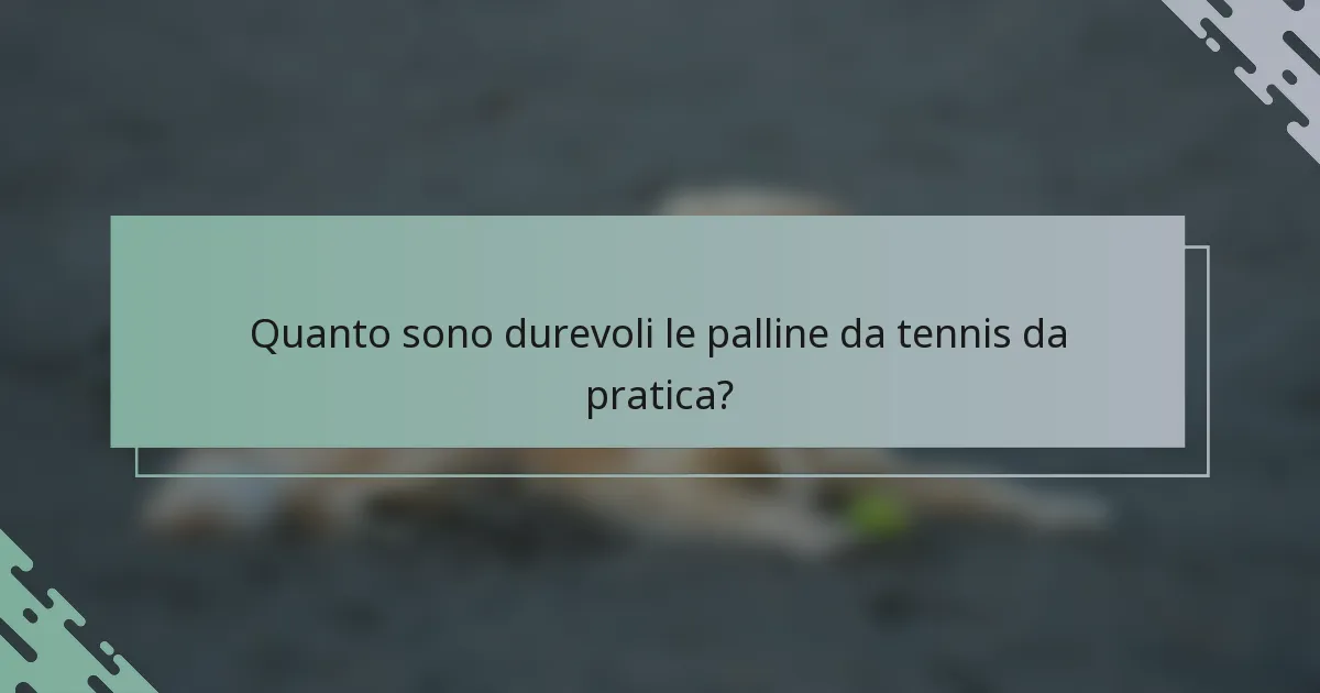 Quanto sono durevoli le palline da tennis da pratica?