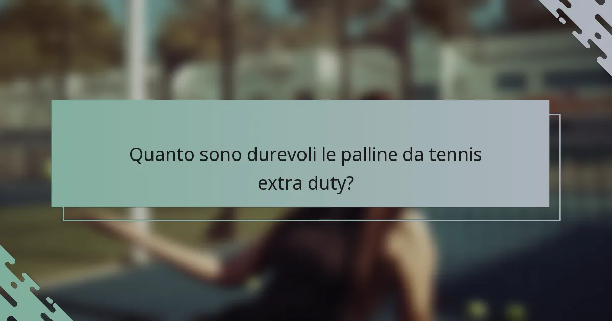Quanto sono durevoli le palline da tennis extra duty?